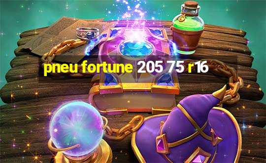 pneu fortune 205 75 r16