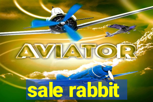 sale rabbit