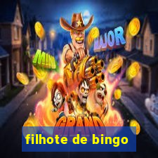 filhote de bingo