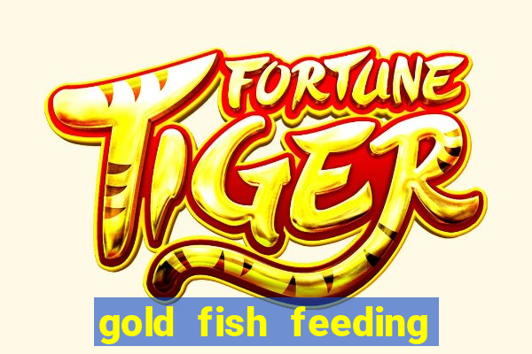 gold fish feeding time slot machine