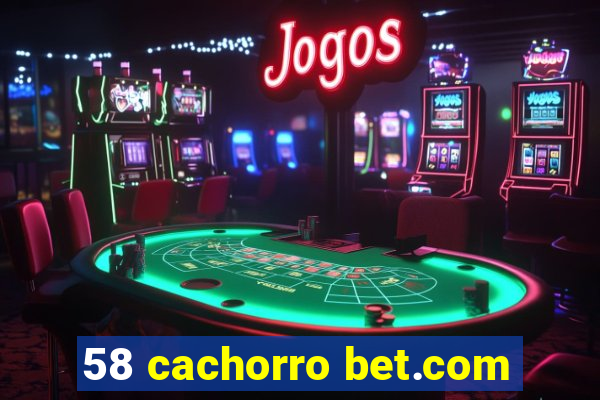 58 cachorro bet.com