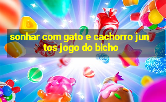 sonhar com gato e cachorro juntos jogo do bicho