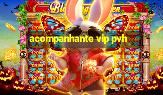 acompanhante vip pvh