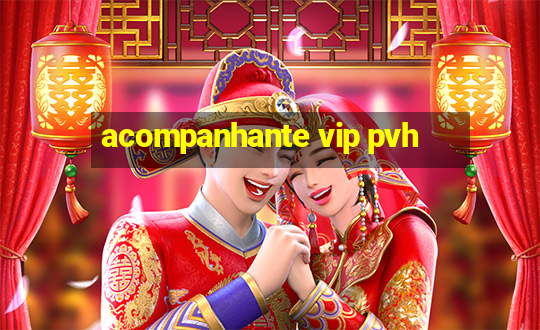 acompanhante vip pvh