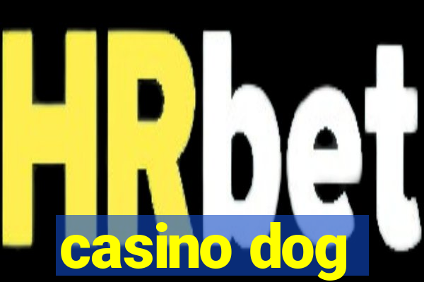 casino dog