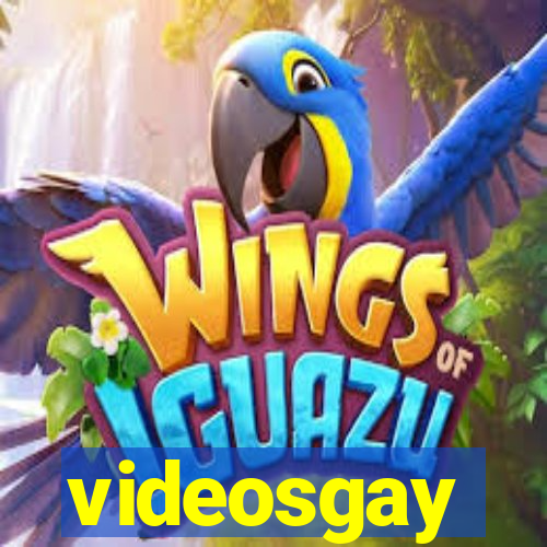 videosgay