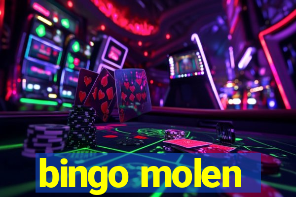 bingo molen