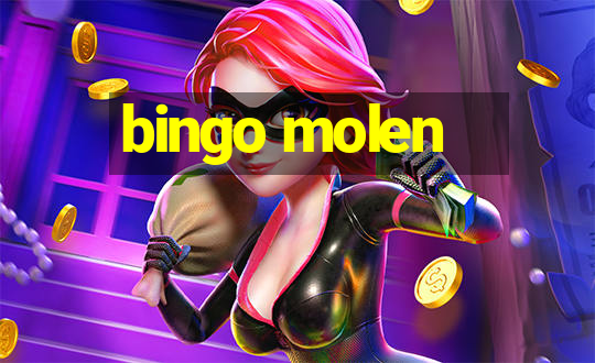 bingo molen