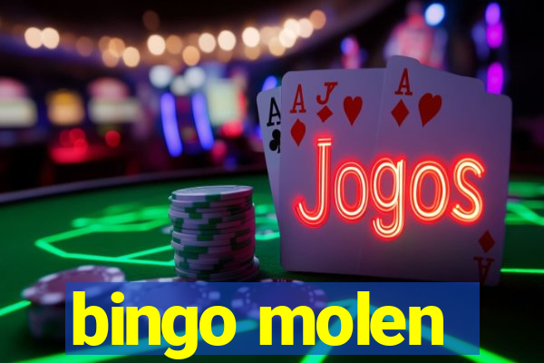 bingo molen