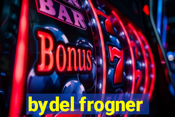 bydel frogner