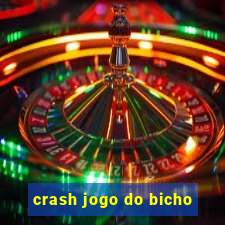 crash jogo do bicho