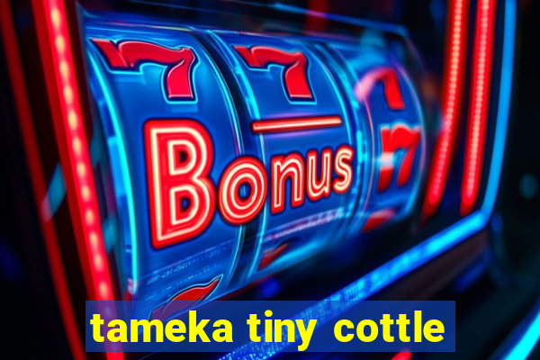 tameka tiny cottle