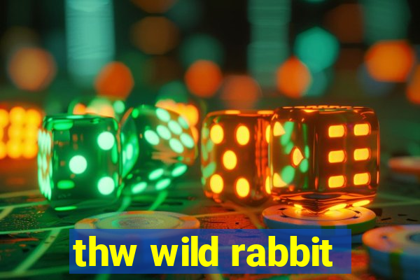 thw wild rabbit