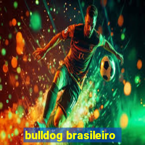 bulldog brasileiro