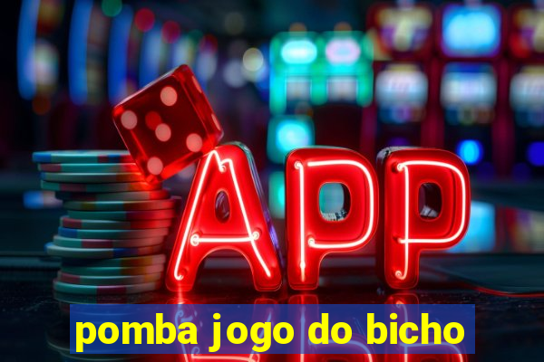 pomba jogo do bicho