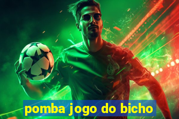 pomba jogo do bicho