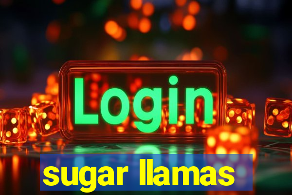 sugar llamas