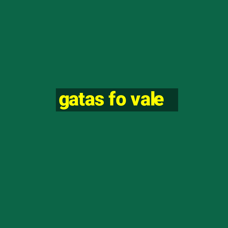 gatas fo vale