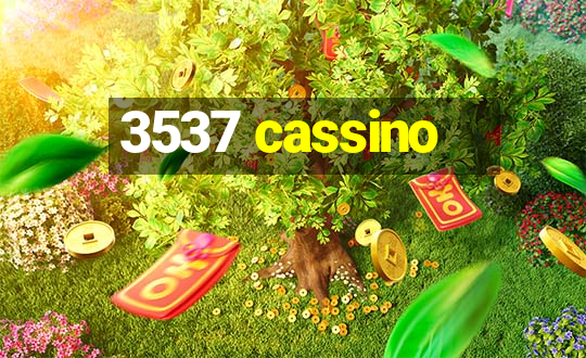 3537 cassino