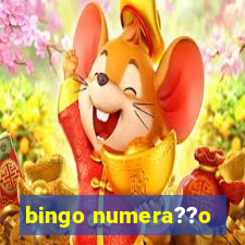 bingo numera??o