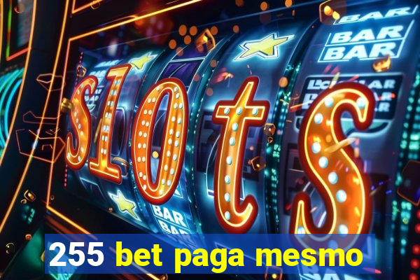 255 bet paga mesmo