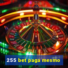 255 bet paga mesmo