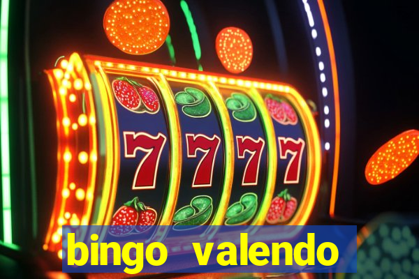 bingo valendo dinheiro online