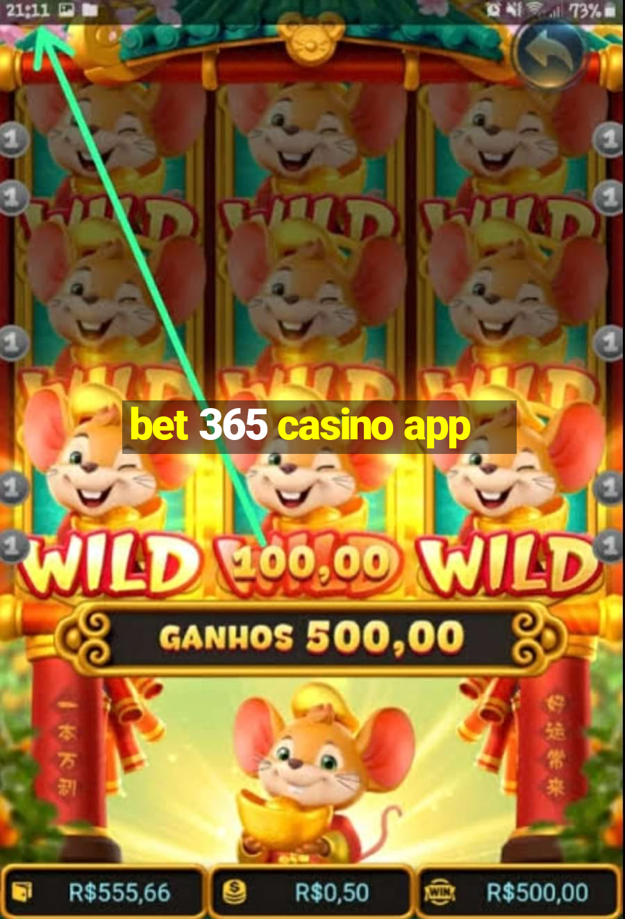 bet 365 casino app