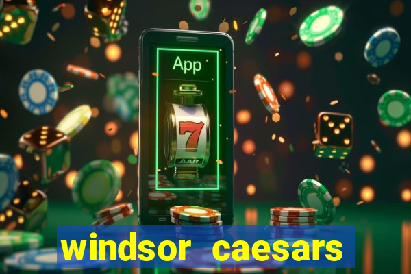 windsor caesars casino hotel