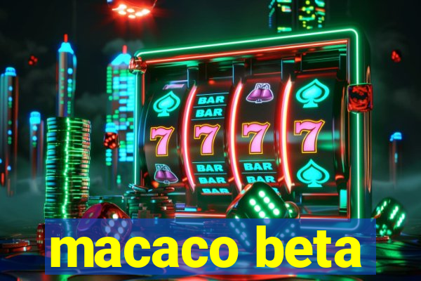 macaco beta