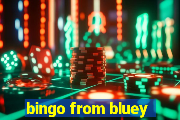 bingo from bluey