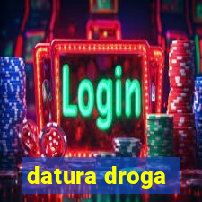 datura droga