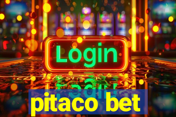 pitaco bet