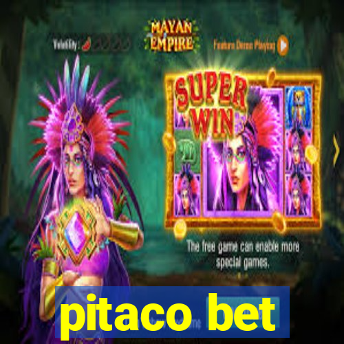 pitaco bet