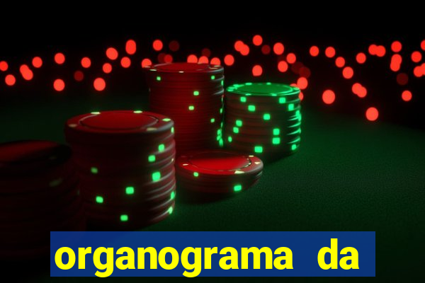 organograma da cacau show