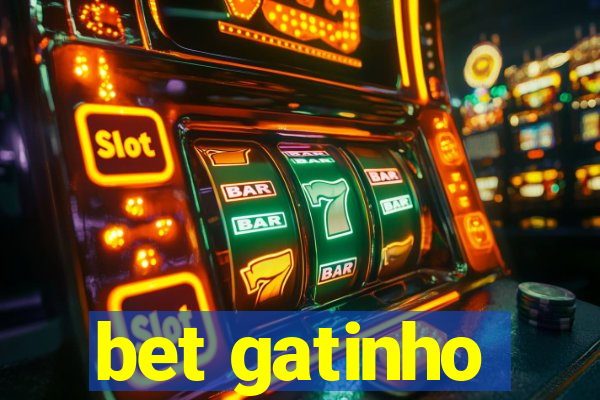 bet gatinho