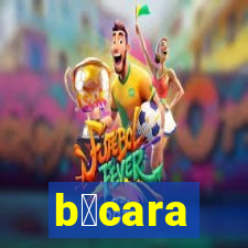 b谩cara