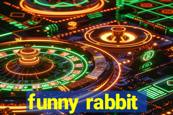 funny rabbit