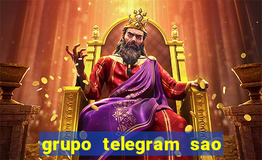 grupo telegram sao jose do rio preto