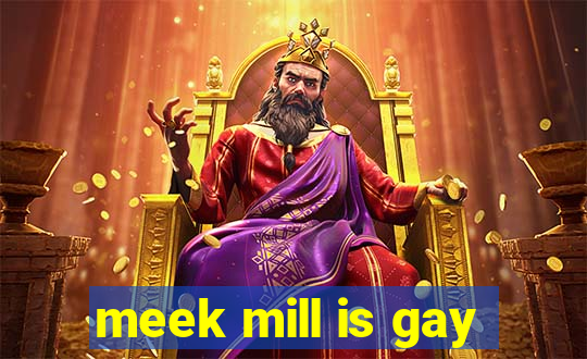 meek mill is gay