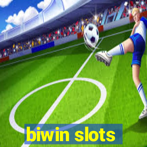 biwin slots