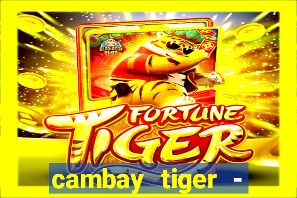 cambay tiger - seafood & meat