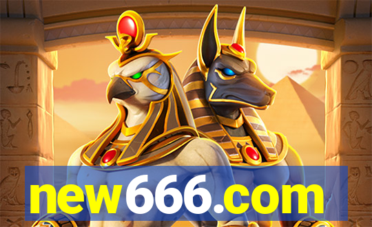 new666.com