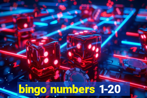 bingo numbers 1-20