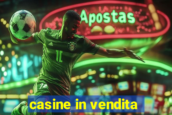 casine in vendita