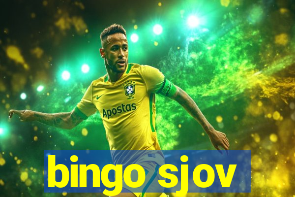 bingo sjov