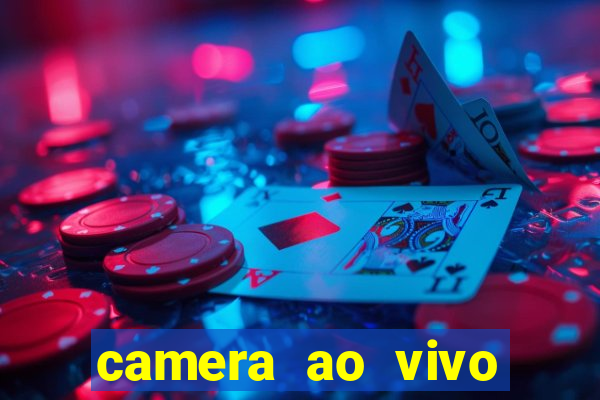 camera ao vivo terminal vila nova cachoeirinha