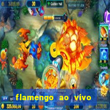 flamengo ao vivo hd play