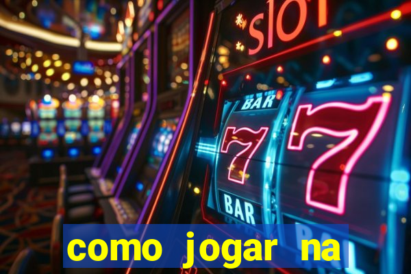 como jogar na lotinha do jogo do bicho