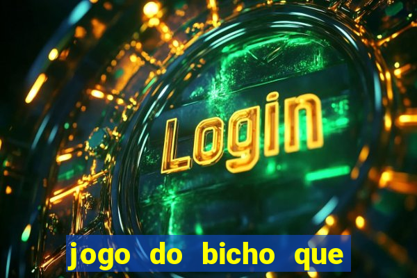 jogo do bicho que da dinheiro